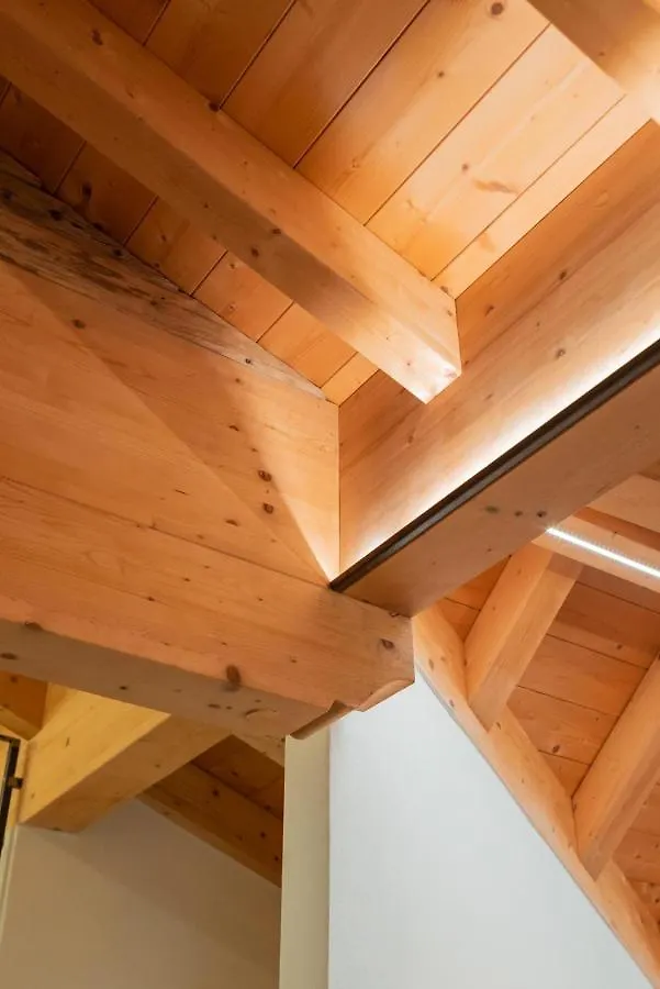Pista Stelvio Loft Lumiere Apartment Bormio